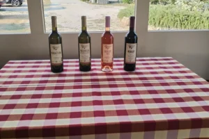 konavle tradition vines vodopic winery journey 04
