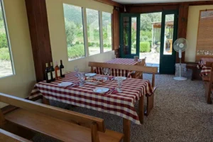 konavle tradition vines vodopic winery journey 08