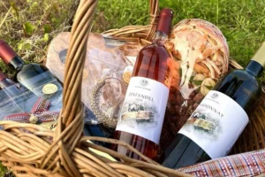 wine and food tasting dubrovnik half day tour 017