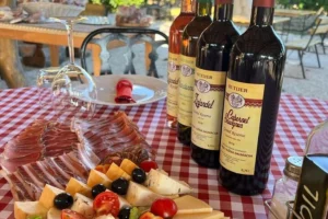 wine and food tasting dubrovnik half day tour 020
