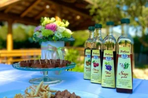 wine and food tasting dubrovnik half day tour 021