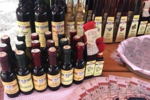 wine and food tasting dubrovnik half day tour 027