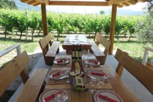 wine and food tasting dubrovnik half day tour 029